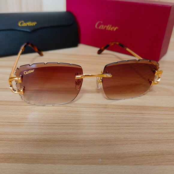 Cartier Classic Sunglasses - Picture 1 of 6